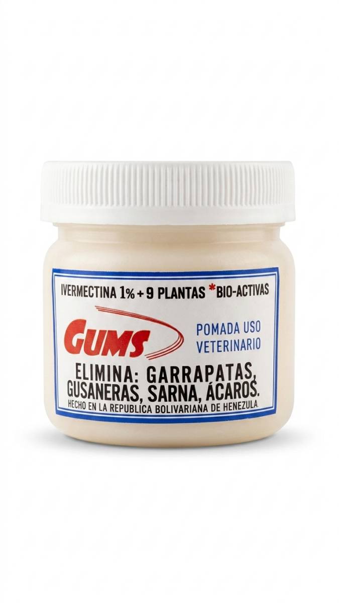 CREMA GUM S
