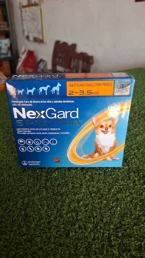 Nexgard xpectra