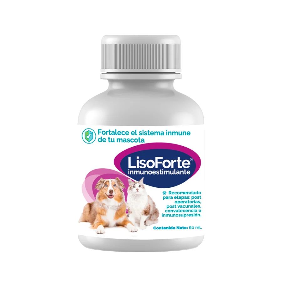 LISOFORTE 60ML