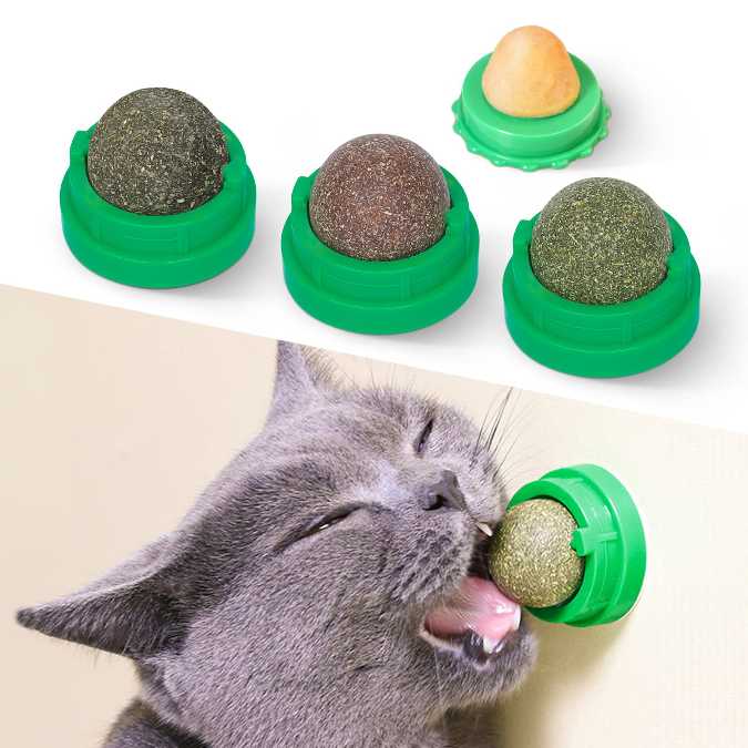 CAT NIP PARA GATO